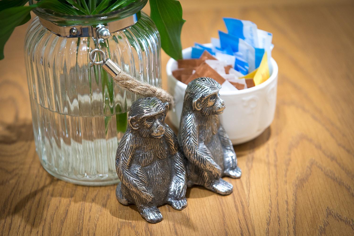 Bed and Breakfast Darwin'S Townhouse Шрусбері Екстер'єр фото Silver monkey salt and pepper shakers