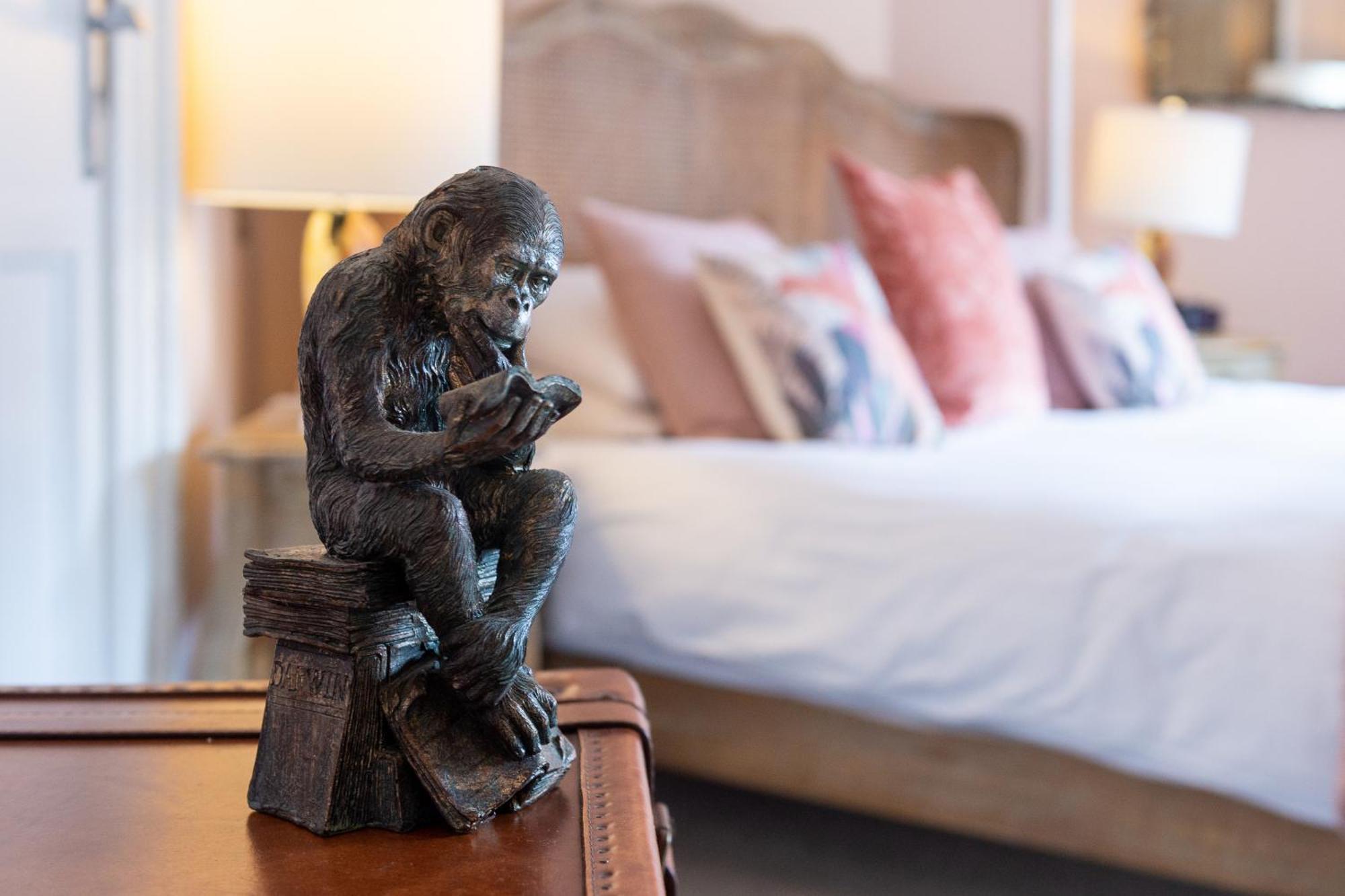Bed and Breakfast Darwin'S Townhouse Шрусбері Номер фото A sculpture of a monkey sitting on a suitcase